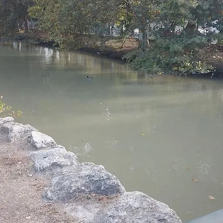 Precioso Piso-apartamento En Barrio De Apartamento *