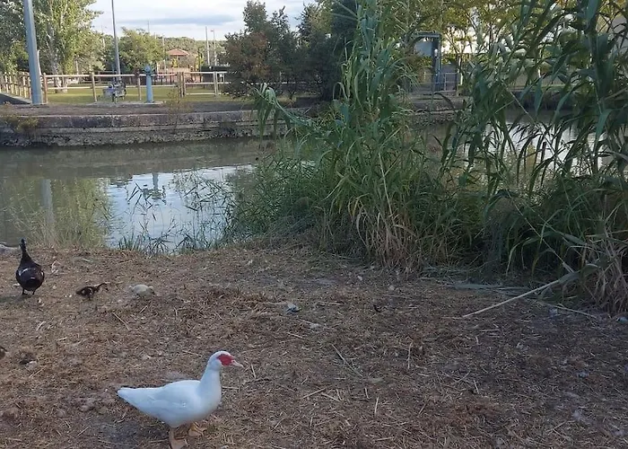 Precioso Piso-apartamento En Barrio De Saragozza